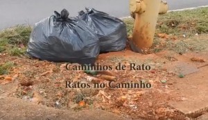 Video_Caminhos Rato_W3_S Hospitalar_print screen