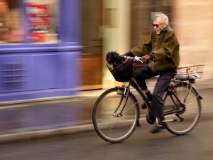 bicycle-rider-and-dog_21256_600x450