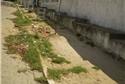 Calçadas ainda abandonadas na EMEF Índio Piragibe