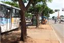 Calçadas do Brasil: Goiânia
