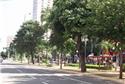 Calçadas do Brasil: Goiânia