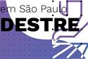 Viver em São Paulo: Pedestre