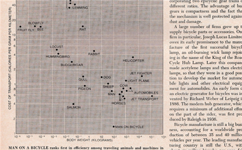 Pedal continua sendo o transporte mais eficiente