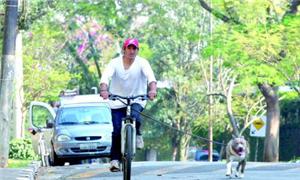 15 km de vias compartilhadas