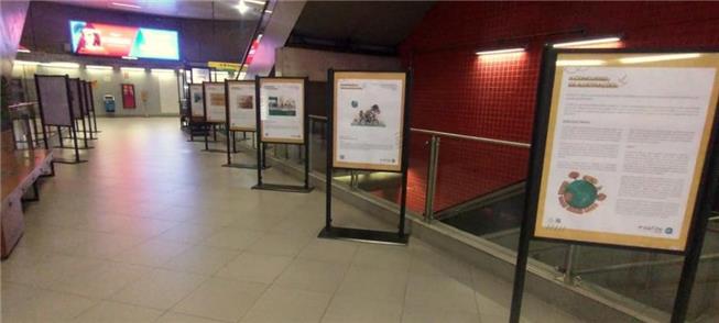 A singela exposição, agora na Estação Paulista