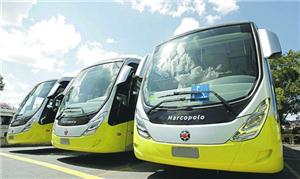 Alguns dos novos ônibus que vão circular pela capi