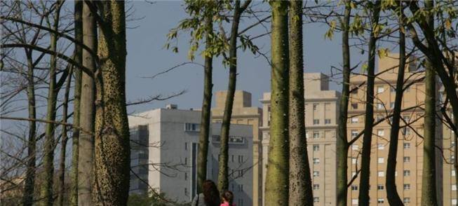 Área do canteiro de obras será cedida ao parque