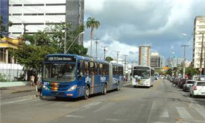 Avenida Conde da Boa Vista