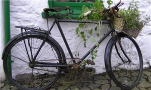 Bicicleta velha usada como decoração