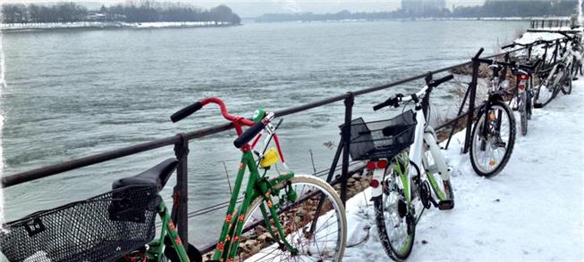 Bicicletas às margens do rio Reno