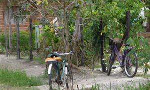 Bicicletas são muito utilizadas no assentamento Má