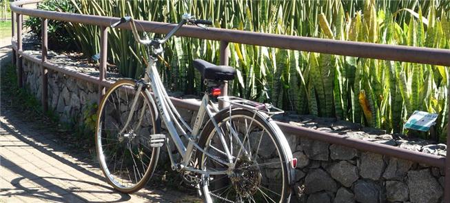 Bikes em alta, em SP