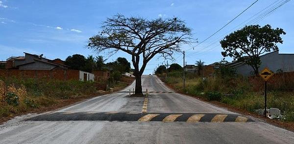 Cajazeira em Paraíso do Tocantins (TO)