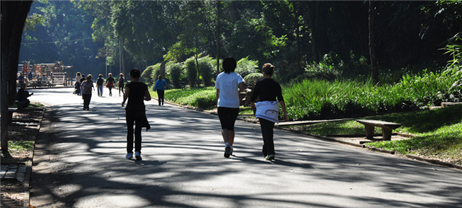 Caminhar, o jeito mais saudável e sustentável de l