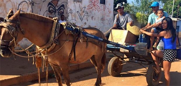 Carroça vira táxi no DF