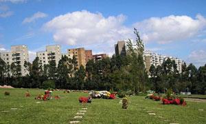 Cemitério do Morumbi será desapropriado para o VLT