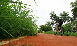 Ciclista passa por trecho com mato alto