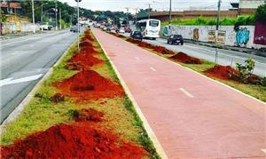 Ciclistas e moradores plantam mais de 100 mudas em