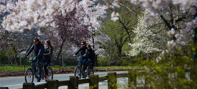 Ciclistas e pedestres no Central Park. Livre de ca