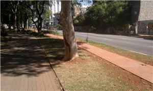 Ciclovia na avenida Braz Leme