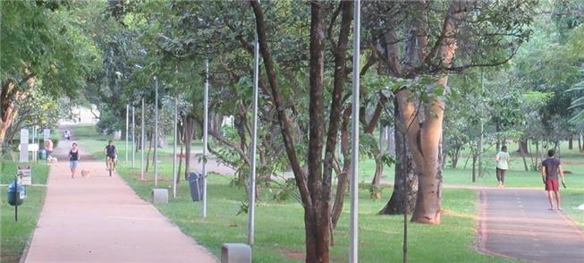 Espaços arborizados, com calçadas convidativas ao
