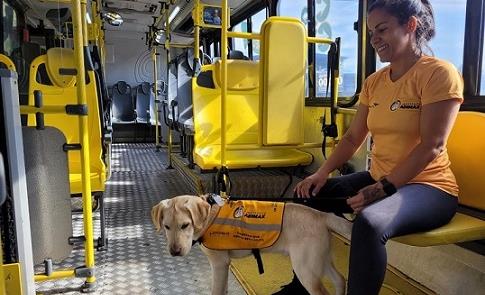Joice Silva, do Instituto Adimax, com um cão em tr