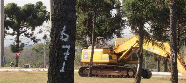 Máquinas já derrubam arborização na área