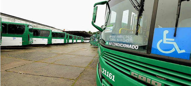 Novos ônibus foram apresentados em entrevista cole