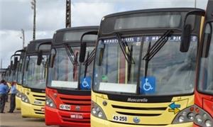 Novos Ônibus