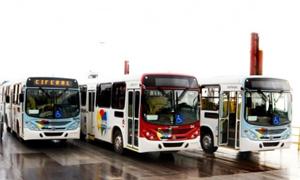 Novos ônibus
