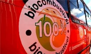 Ônibus curitibanos movidos a biocombustível