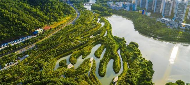 Parque dos Manguezais em Sanya, na China