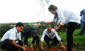 Plantio de muda inaugura o projeto