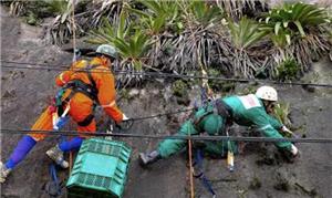 Profissionais retiram plantas para recolocá-las no