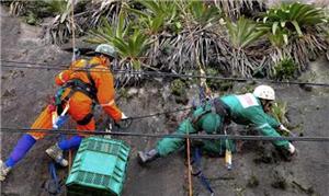 Profissionais retiram plantas para recolocá-las no