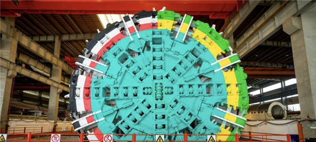 Tatuzão deve chegar ao Brasil no primeiro trimestr