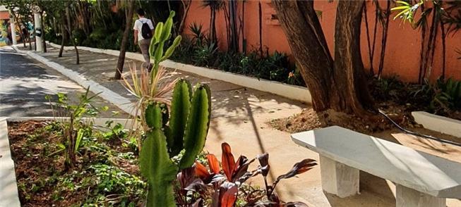 Vaga verde implantada em rua da Barra Funda, zona